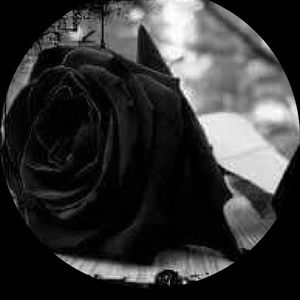 Meet your Posher, Sonya